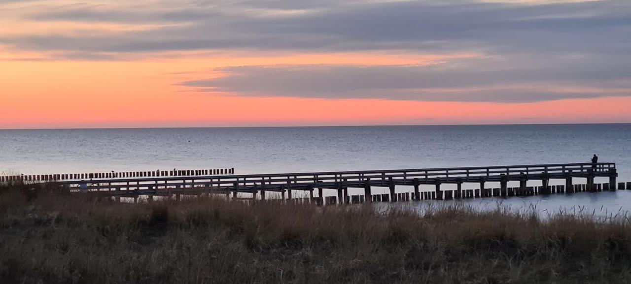 Apartmán Haus Nadine Zingst Exteriér fotografie